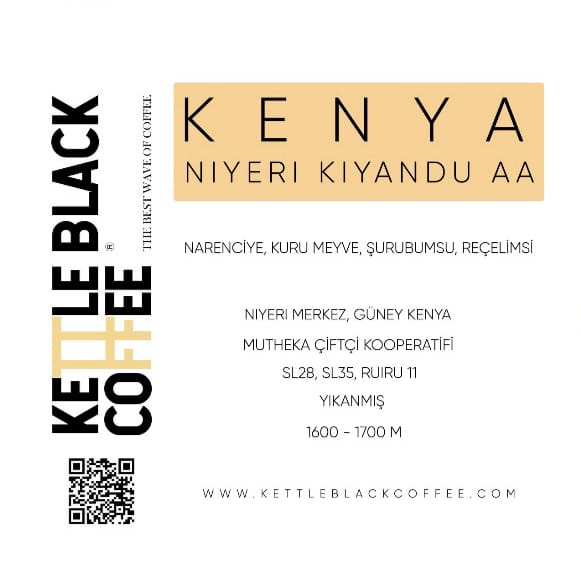 Kenya Nyeri Kiandu AA