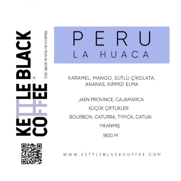 Peru La Huaca