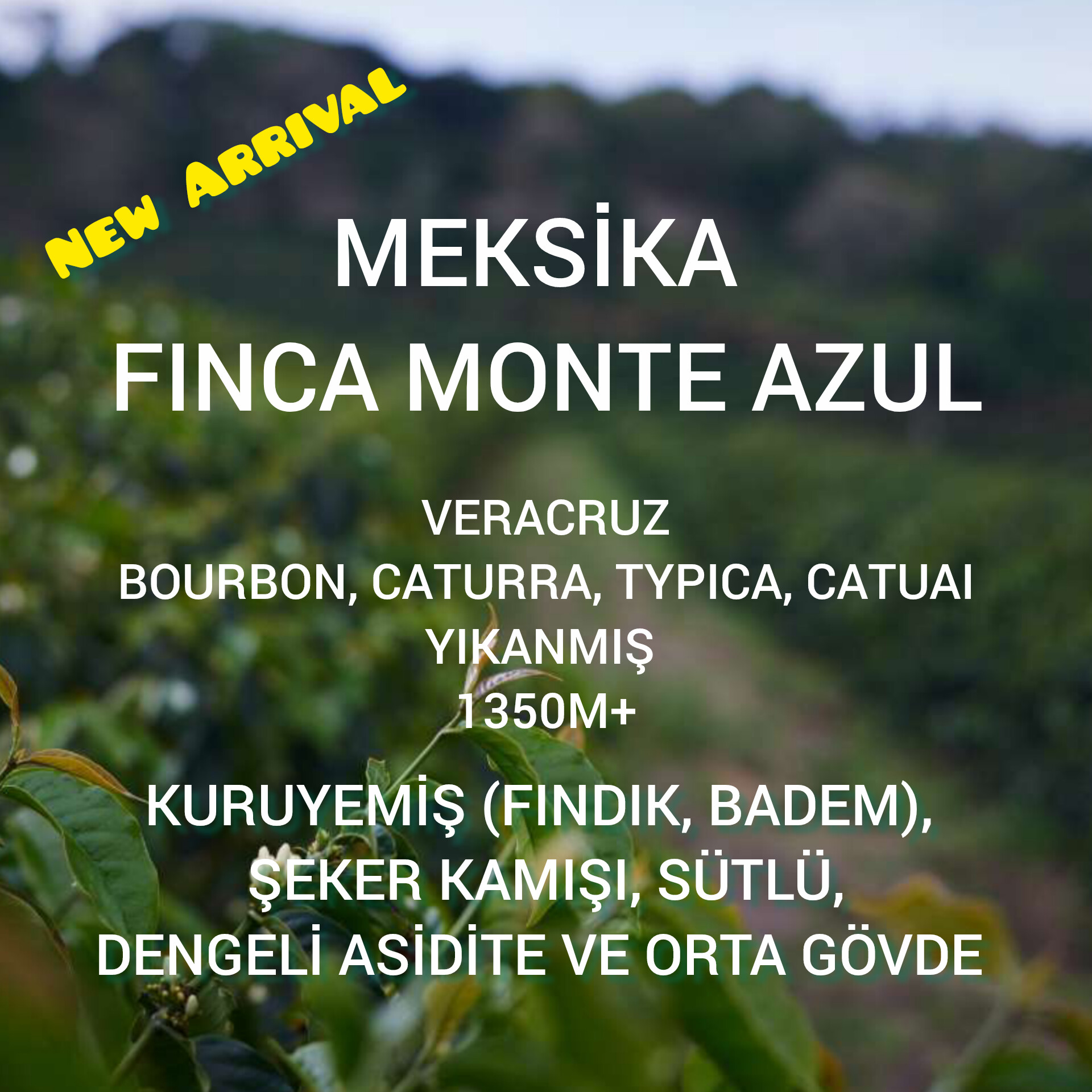 Meksika Finca Monte Azul